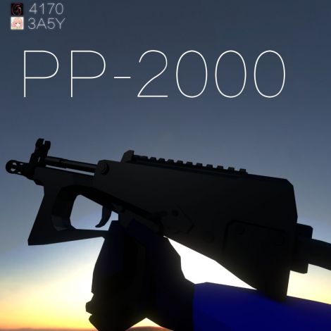 PP-2000