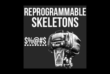 Reprogrammable Skeletons / Перепрограммируемые скелеты