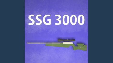 SSG 3000