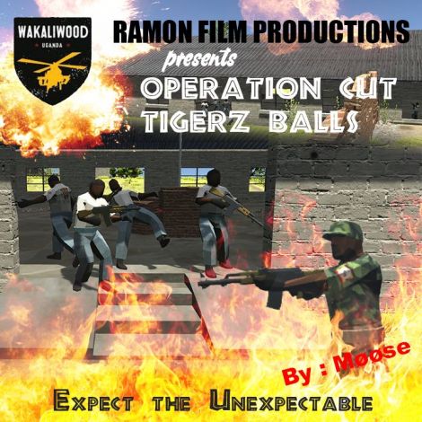 Operation Cut Tigerz Balls