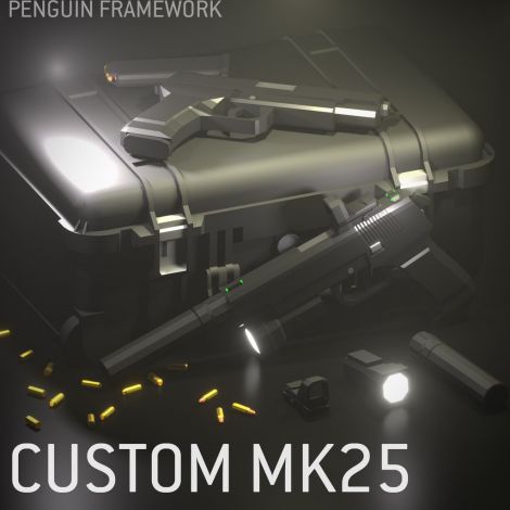 Custom MK25